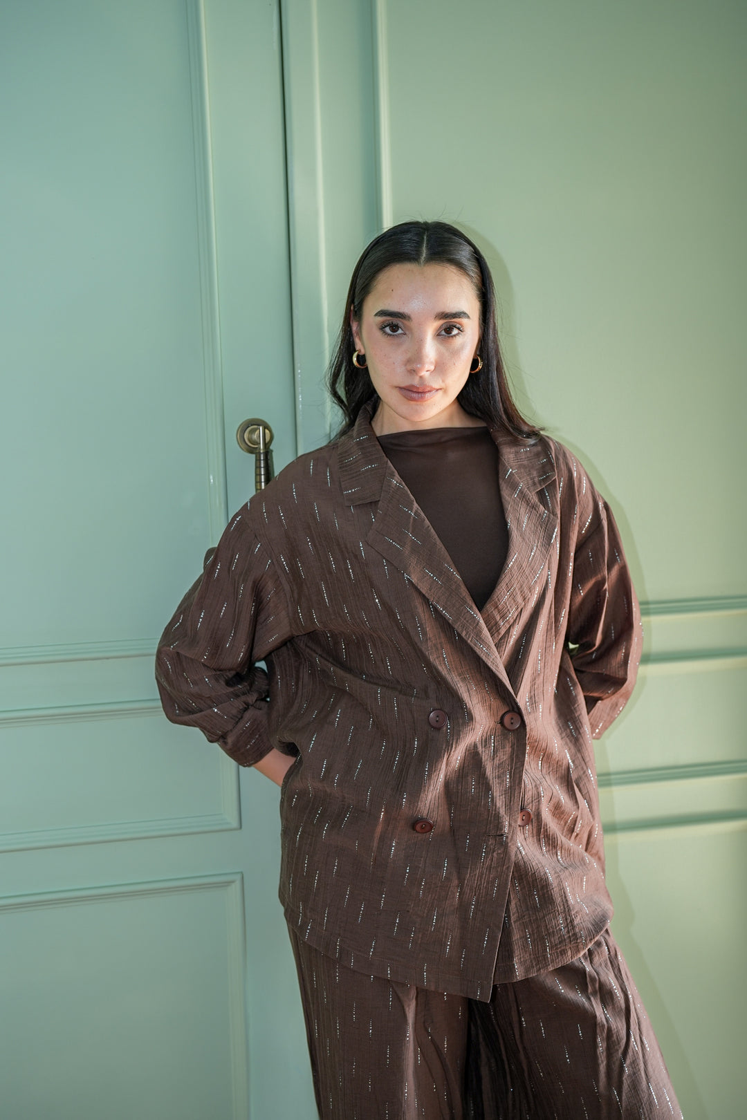 Starlight Shimmery Blazer- Brown