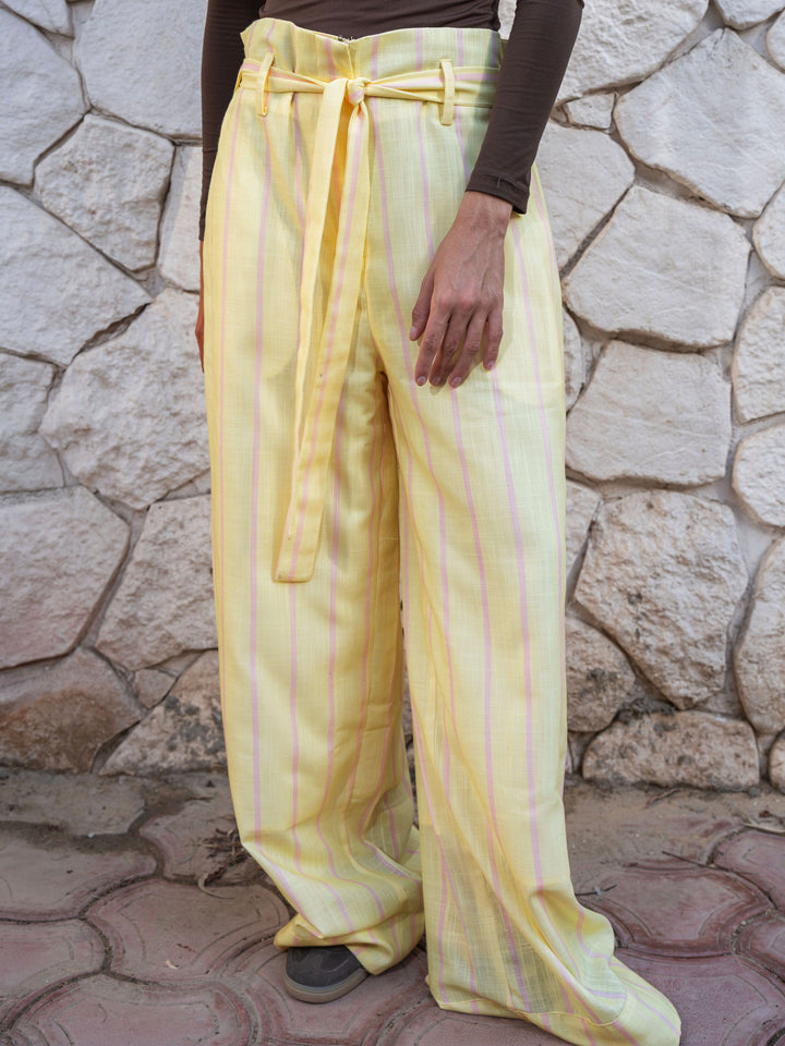 Fully lined Striped Pants