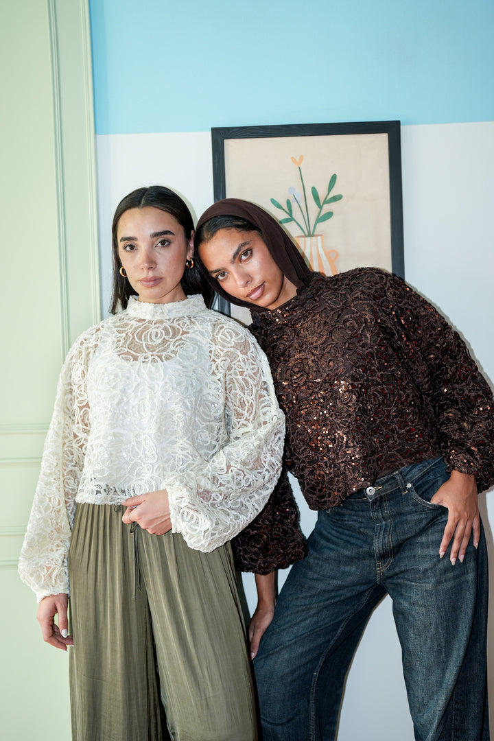 Sheer Embroidered Crop Top  - Brown