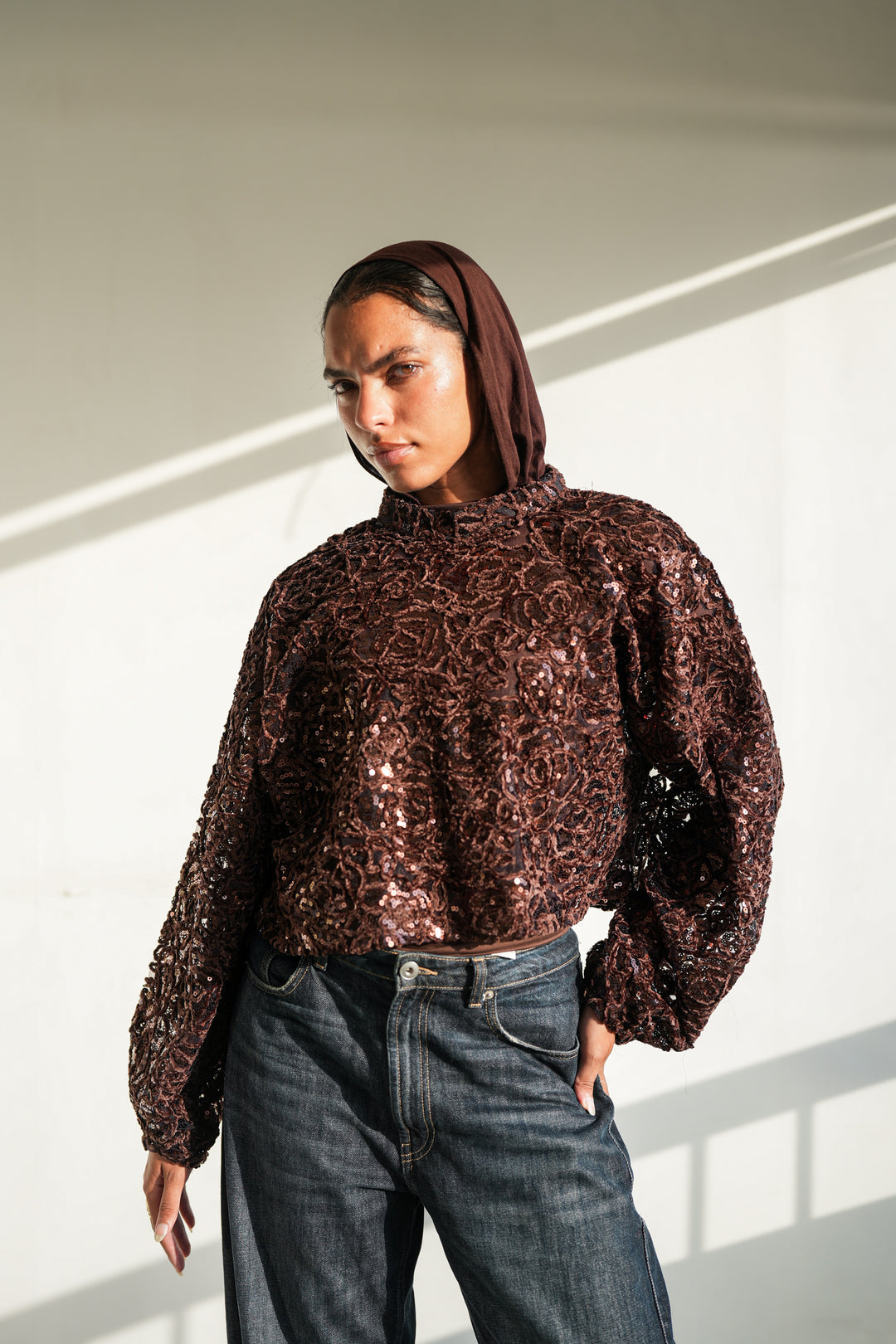 Sheer Embroidered Crop Top  - Brown