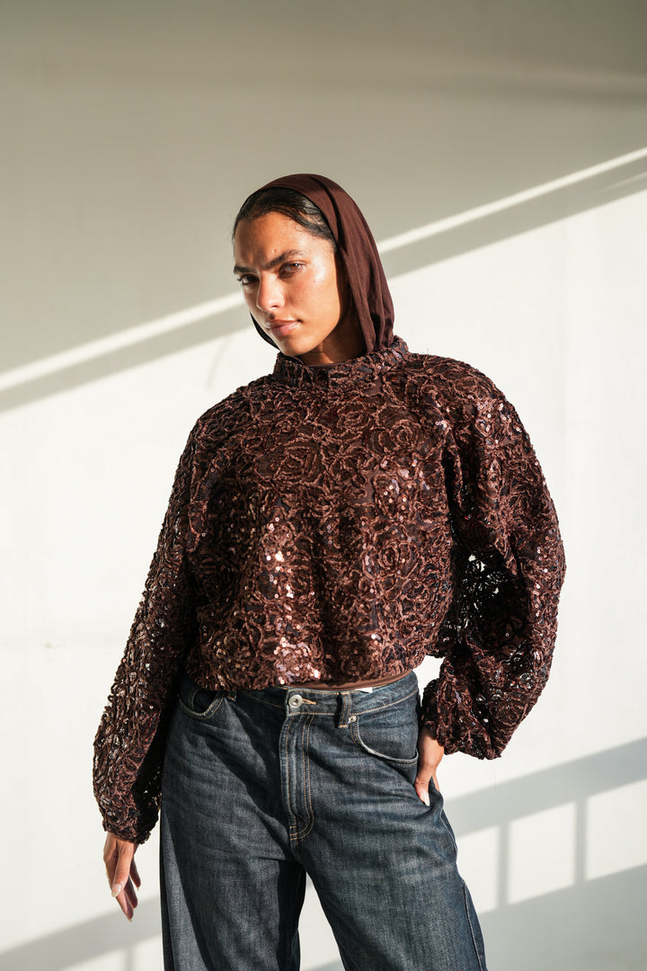 Sheer Embroidered Crop Top  - Brown