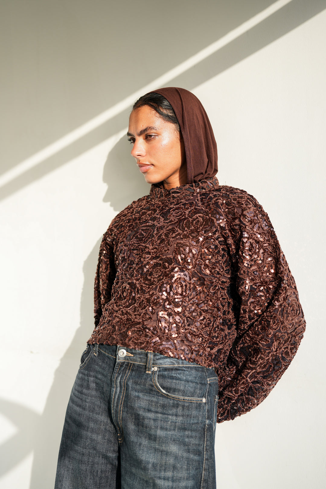 Sheer Embroidered Crop Top  - Brown