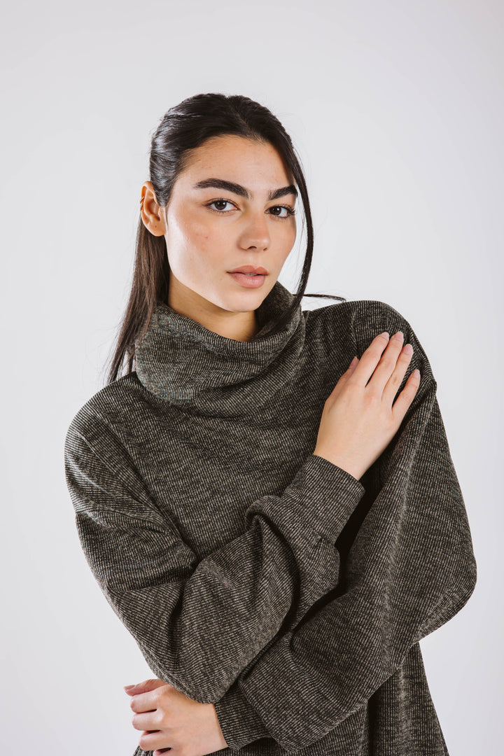 The Cozy Turtle neck  Sweater