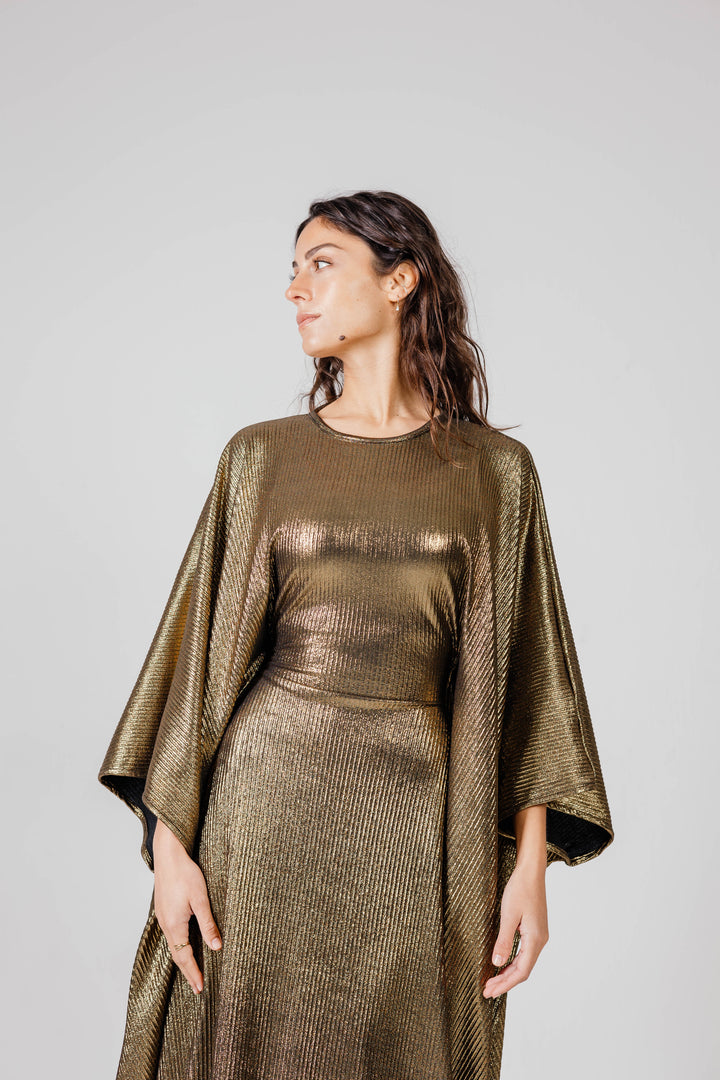 The Shimmery Dress