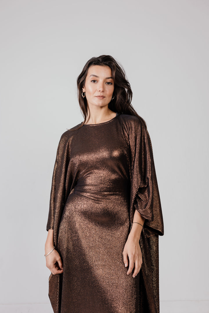 The Shimmery Dress