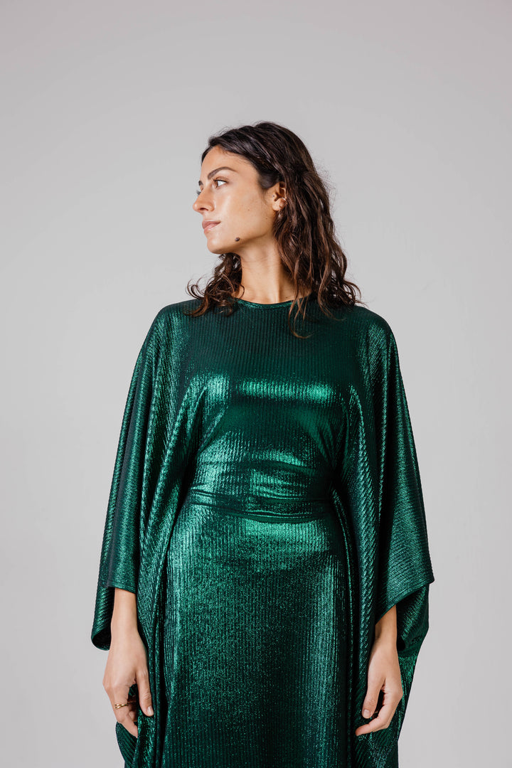 The Shimmery Dress